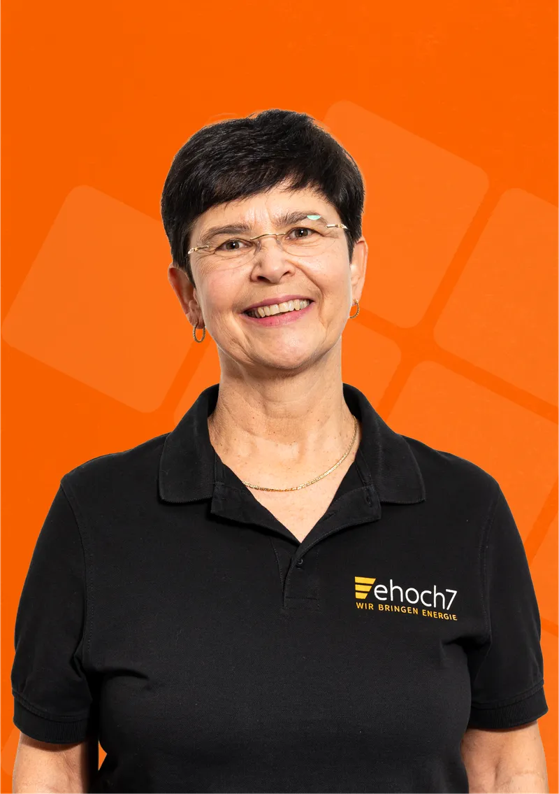 Agnes Fronius, Buchhaltung ehoch7